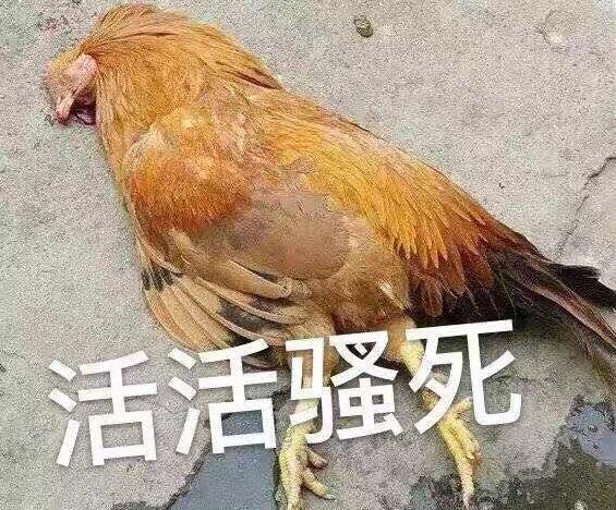 比巫师3还良心?这款游戏的资料片比本体还好?steam好评率86%