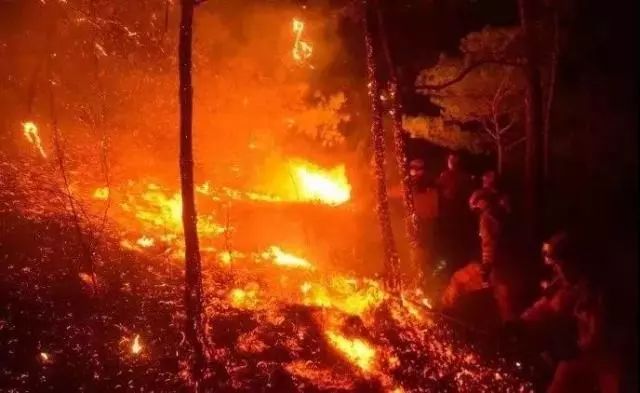 公安边防、消防、警卫部队全部退出现役