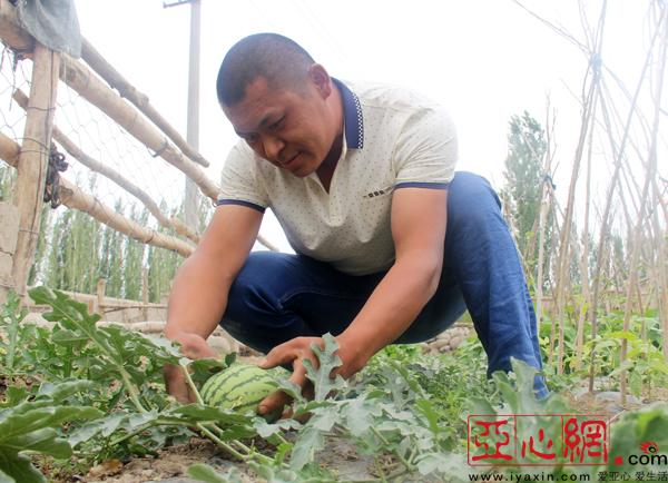 和硕gdp_和硕和恪公主(3)