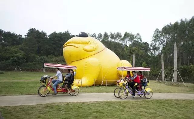 咳咳咳!2018南宁花雨湖玫瑰花文化节全攻略来