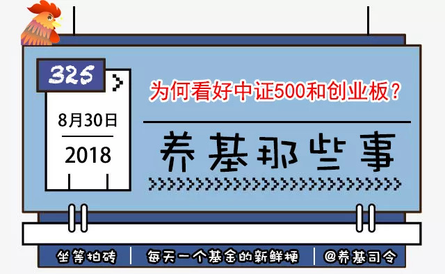 接下去哪只指数基金会涨?