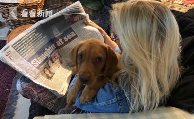 Исторический обзор: Классические моменты, когда мы смотрели None вместе