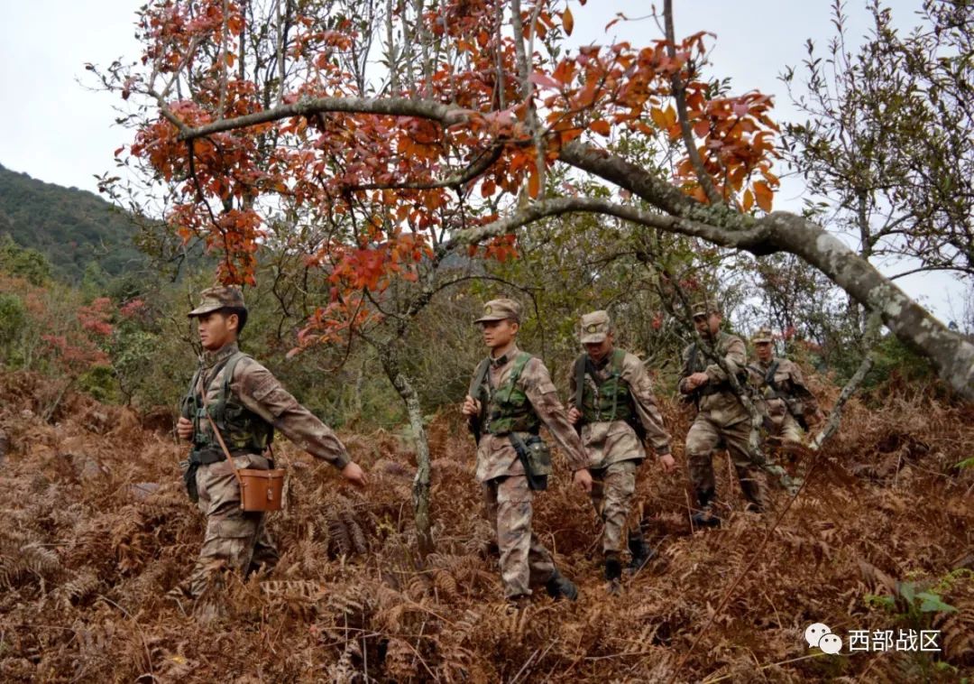 [转载]【原创】读诗人青山隐士《七言绝句;庆《八一》诗歌4》题照