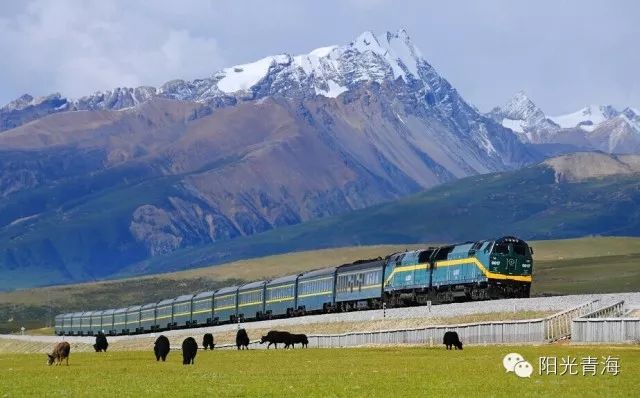 【今日西宁6件事】宫颈癌疫苗首针接种工作启