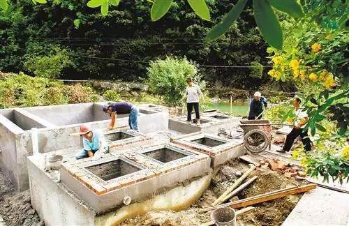 杭州将对8914个农村生活污水处理设施提标改造