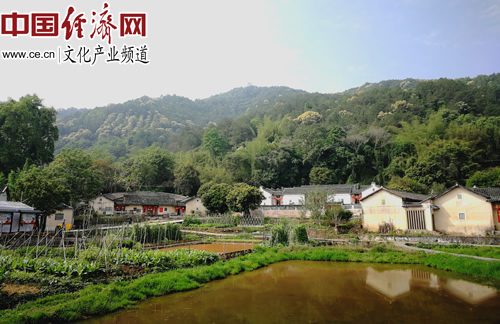 中国农村经济_中国农村经济(2)