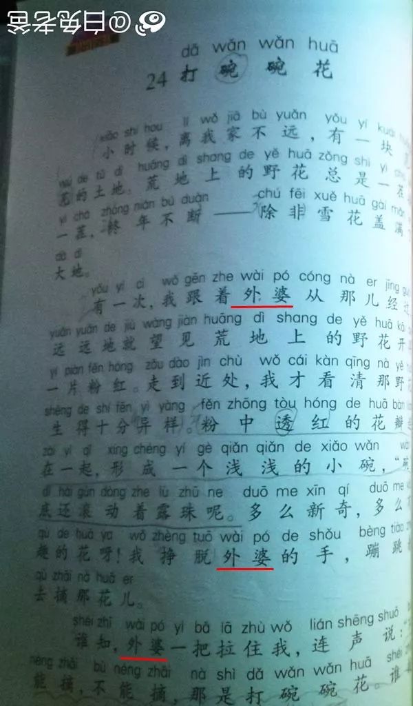 “外婆”原来是方言?南方网友已经炸了……-长沙SEO霜天