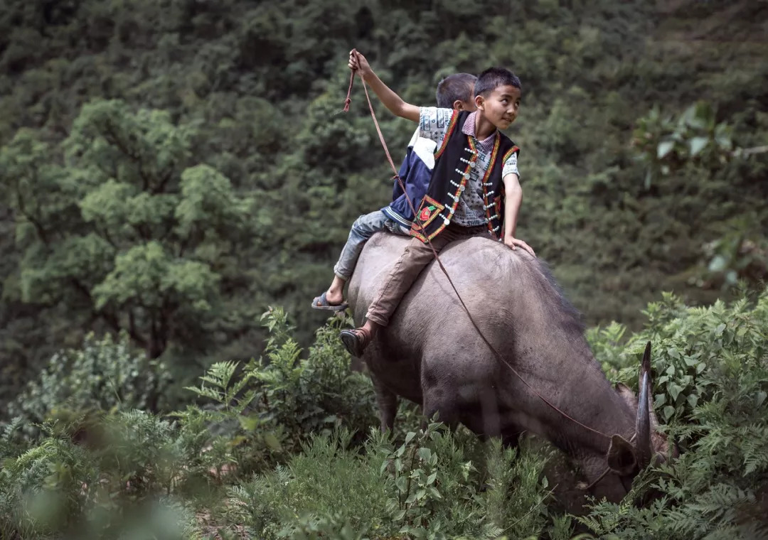 80后网红摄影师钻进深山,把300个孩子拍成童