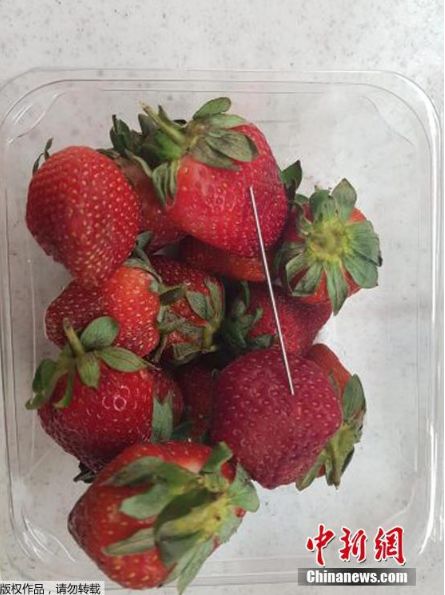 昆士兰州格拉斯顿的一家超市内的草莓商品内，被人恶意放入一根钢针。