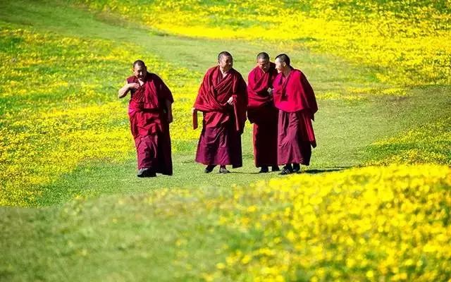 【参考线路】隆格寺→下文措/下文措营地→上文措→阿尔加措/第二营地