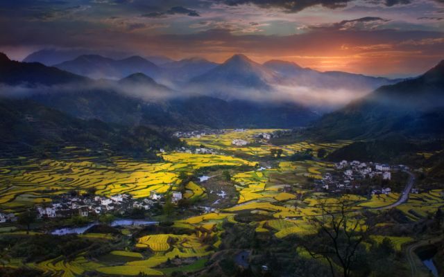 正是安徽赏花季,送你一份拍摄锦囊投身油菜花海