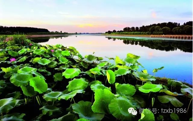 让“两会”精神掷地有声见实效