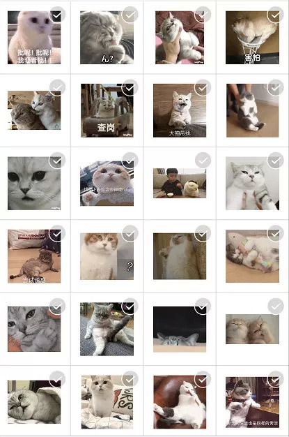 一看他发的大全,就知道是个高级渣男赵本山图片图片表情表情图片