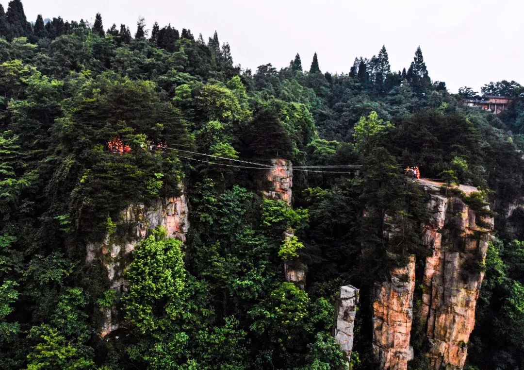 湖南消防精英论剑天子山 高空飞索横渡救援练本领