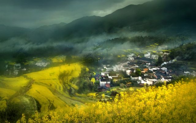 正是安徽赏花季,送你一份拍摄锦囊投身油菜花海