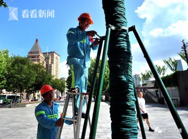 探馆2023中国·合肥苗交会：“苗卉”绿水青山 绽放美丽经济