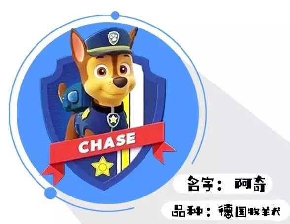 打败小猪佩奇,晋升宝宝圈第一网红的汪汪队,到