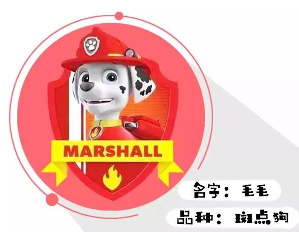 打败小猪佩奇,晋升宝宝圈第一网红的汪汪队,到