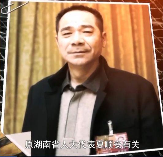  湖南省原人大代表夏顺安（视频截图）。