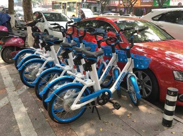 哈罗共享电单车来了!2元能骑半小时,停车必须