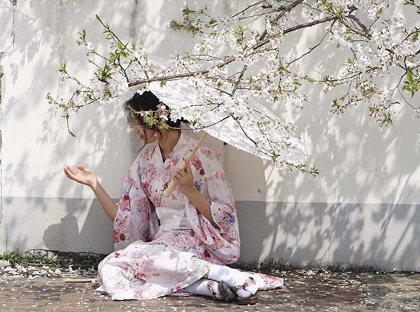 武大回应赏樱未提和服 学生称有人穿“和服”拍照
