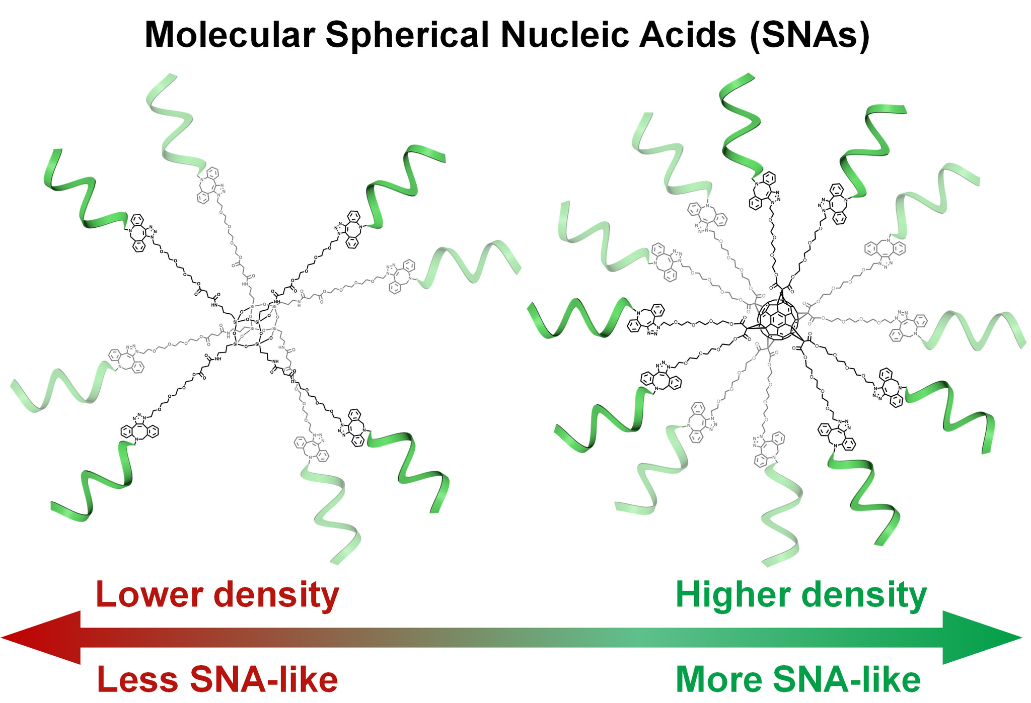 化学生物学与纳米医学研究所在国际权威期刊P