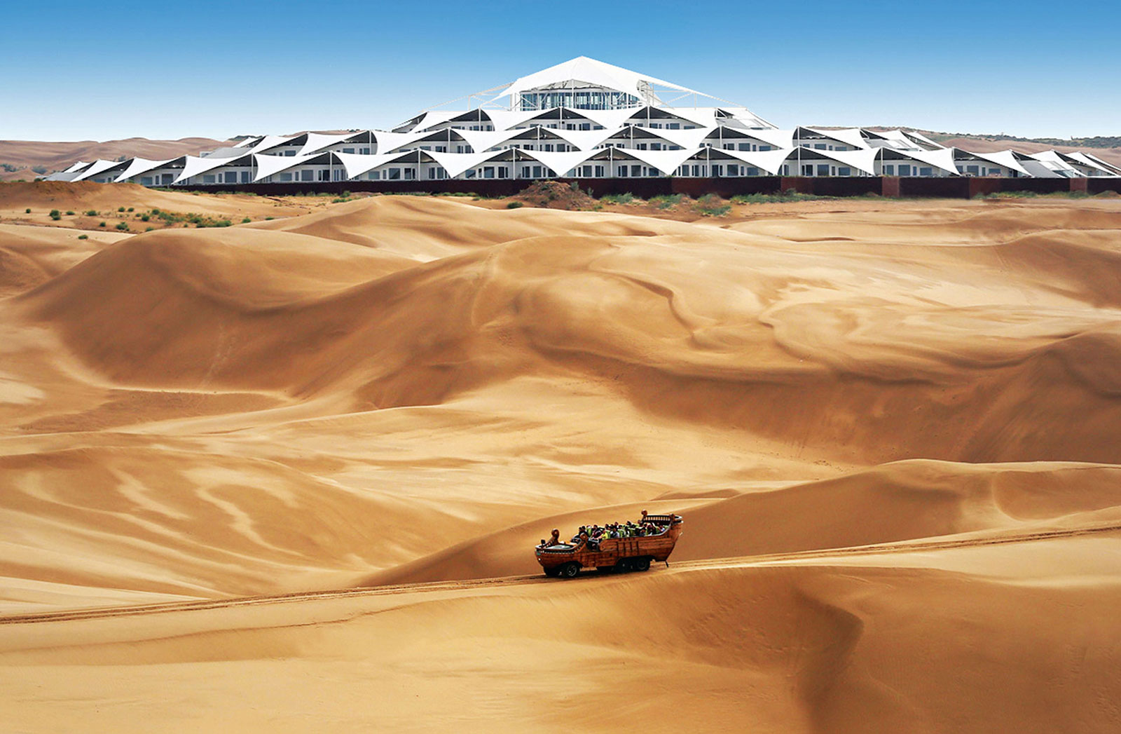 在旱地中盛放的白莲花,内蒙古响沙湾沙漠莲花酒店
