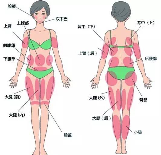 脂肪