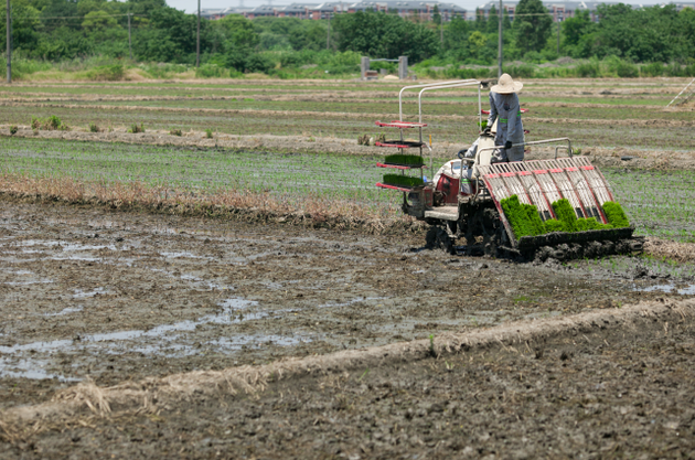 一文看懂2019年中央三农文件说了些啥?