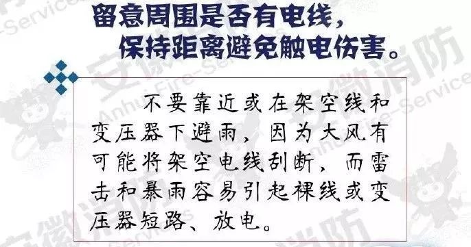 广东暴雨疑发多起触电事故:致两死多伤,均为马