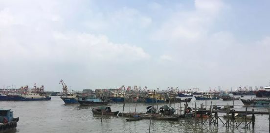 刚刚,东莞台风预警升级为橙色!东莞植物园临时