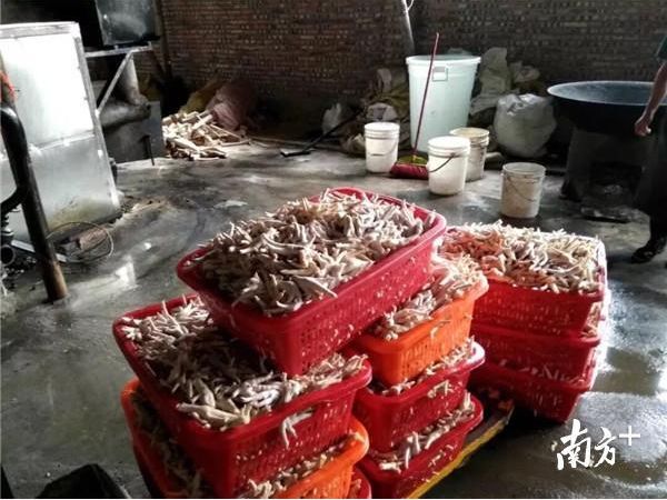 惠州查获4000斤毒鸡脚 黑窝点用工业双氧水浸