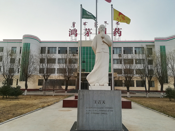 鸿茅药酒厂区内的王吉天雕塑，公司称王吉天为鸿茅药酒创制人。