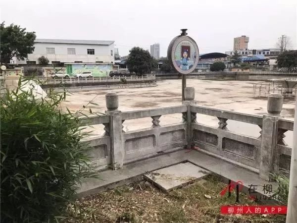 【可恶】令人发指!疯传广西社会锁头哥残忍