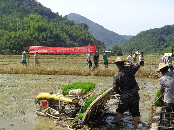 将乐:召开水稻机插现场会