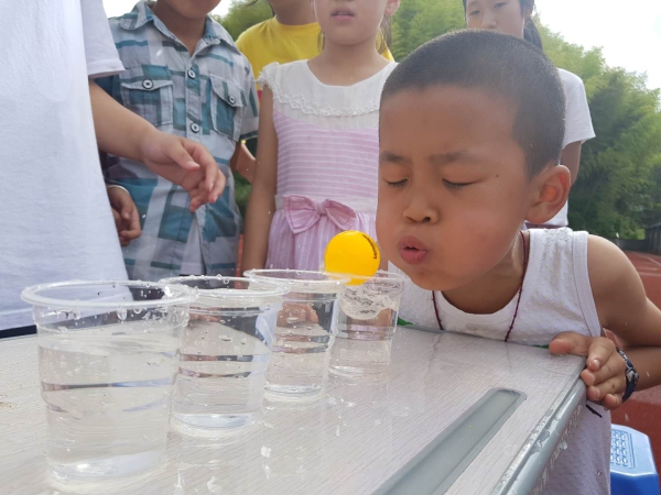 向阳花开,温暖景宁 浙江财经大学经济学院赴