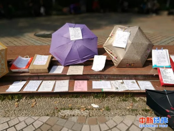 上海人民公园相亲角，撑开的雨伞台阶上挂着未婚男女的征婚信息。中新经纬 罗琨 摄
