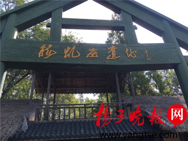 高邮龙虬庄遗址发现新石器时代墓葬 南京博物