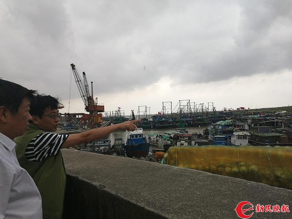918艘船已进港避风 碧海金沙等沿海密集场所已