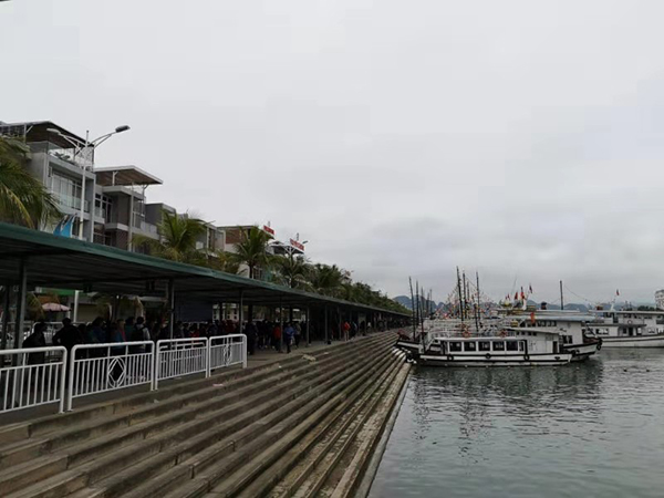 下龍灣景區內的公寓式酒店和停泊的遊船。澎湃新聞記者 李佩 辛恩波 攝