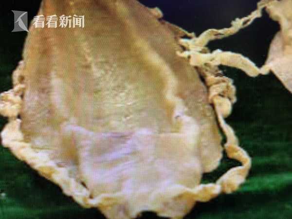 裸奶——探索网络视频与剧情世界