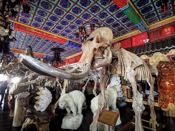 2019年3月20日,黑龙江牡丹江,曹园博物馆。 视觉中国 图