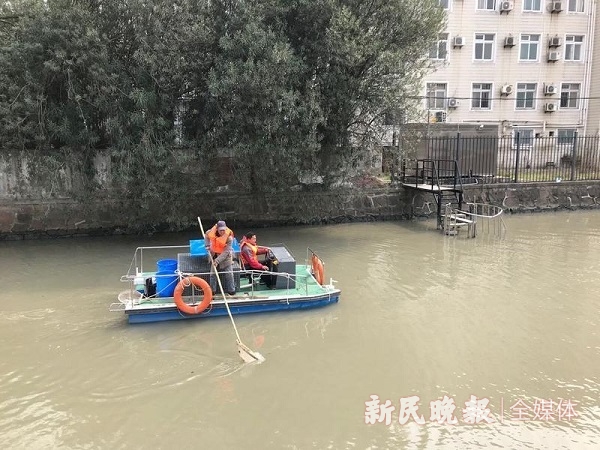 水务局长接热线|这三条黑臭河又变成了啥模样