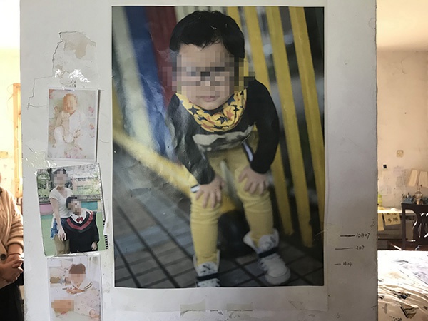 ag平台足球比分推荐 江苏沿海十几年来首次发现豹猫 系平原顶级捕食者
