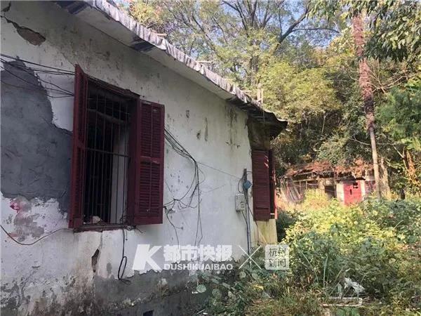 免费送白菜2018 - 全国知名房地产专家顾云昌莅临宜昌 万达大都会天樾即将开盘