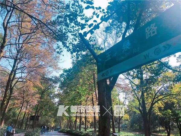 至尊国际最新网址|收购长园背后:格力系母弱子强 格力:不存在同业竞争