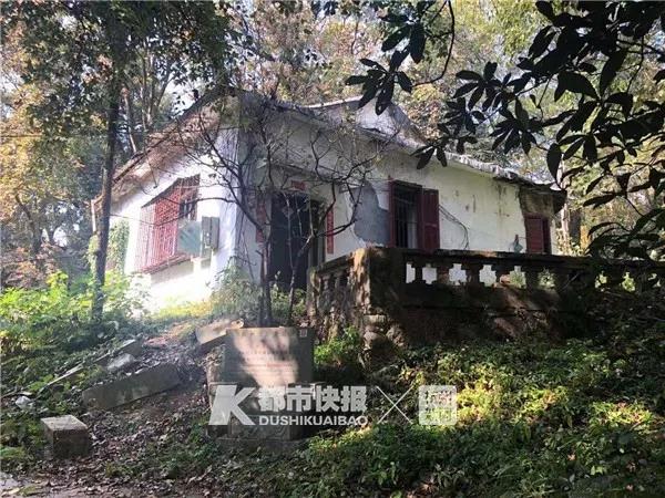 钱伟德,上市公司上半年业绩预告显示 基金机构抢占绩优先机