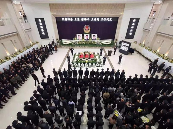 总统娱乐场开户送奖金·这只浑身脏兮兮的流浪猫被救助后,完成了华丽的蜕变,看完好感动