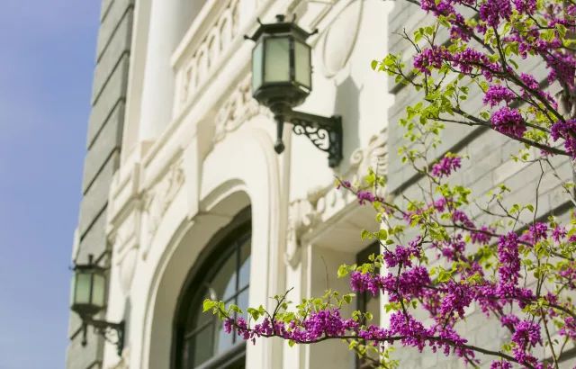 清华推动高端人才培养:新增创新领军工程博士