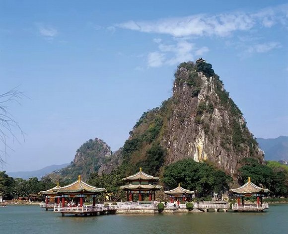 广东林业局:今年林业改革发展,这八项任务是重